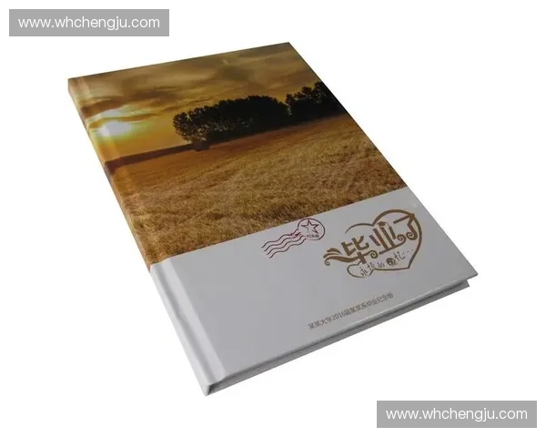 凝聚瞬间光华的年度赛事纪念册全景回顾与精彩故事特刊盛典集萃