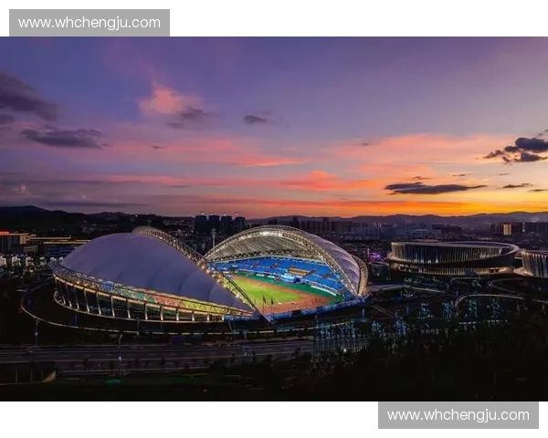 构建以运动表现中心为核心的多维训练科研协同创新发展体系蓝图新